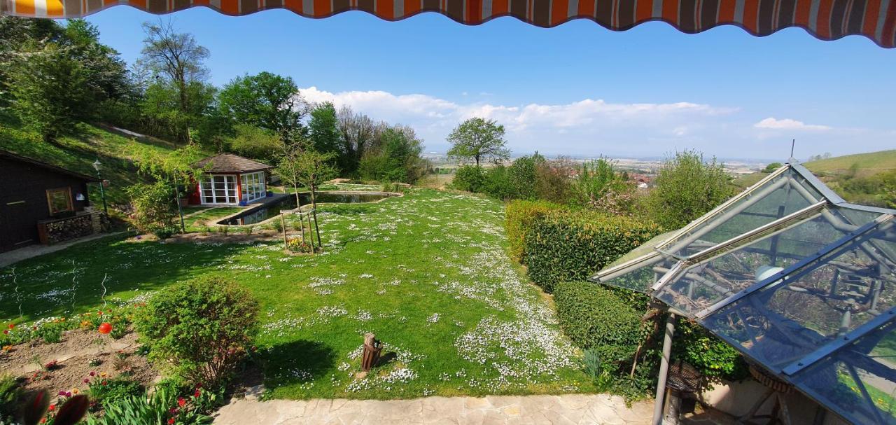 Paradies 1 Döttingen المظهر الخارجي الصورة