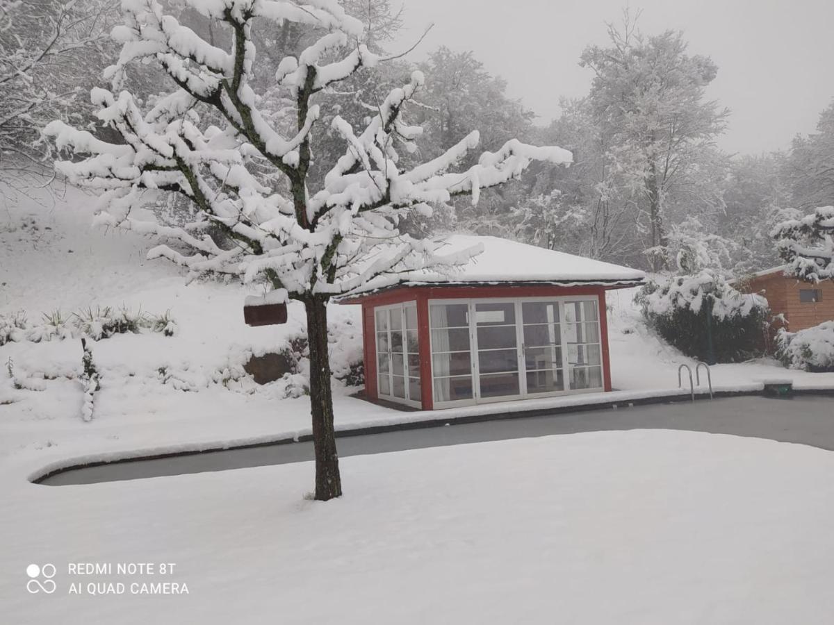 Paradies 1 Döttingen المظهر الخارجي الصورة