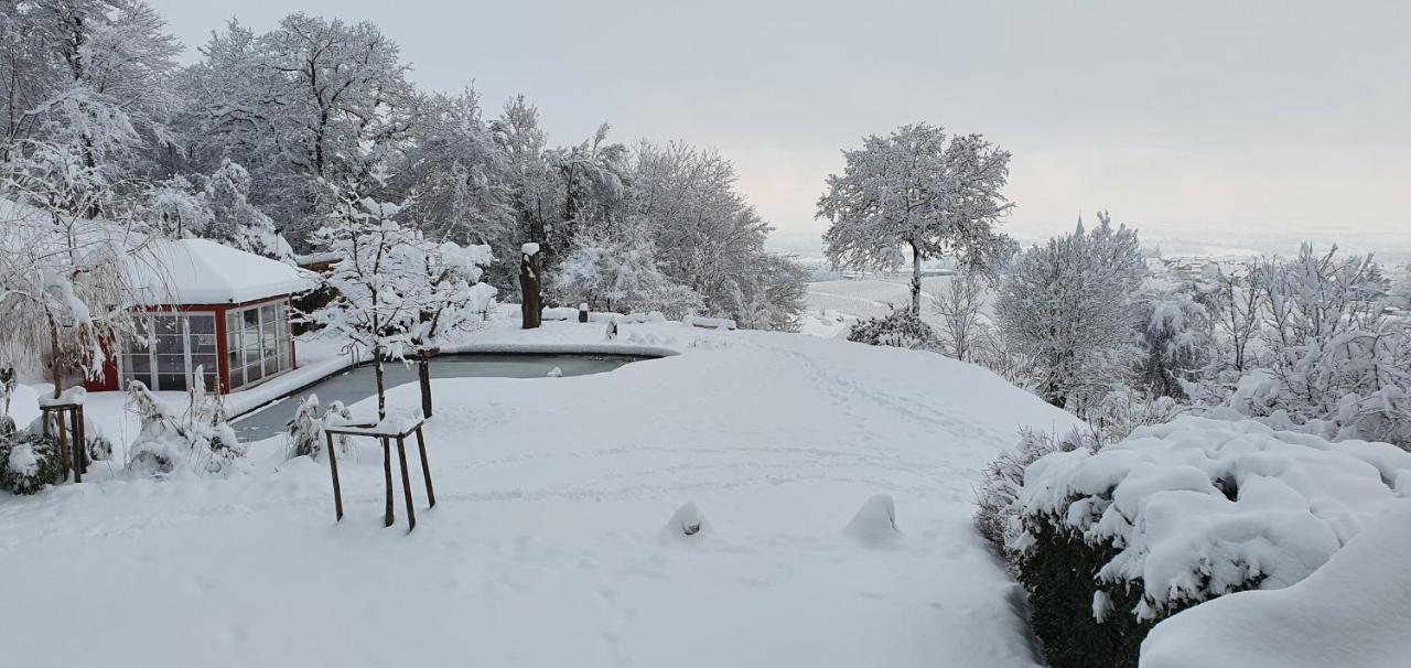 Paradies 1 Döttingen المظهر الخارجي الصورة