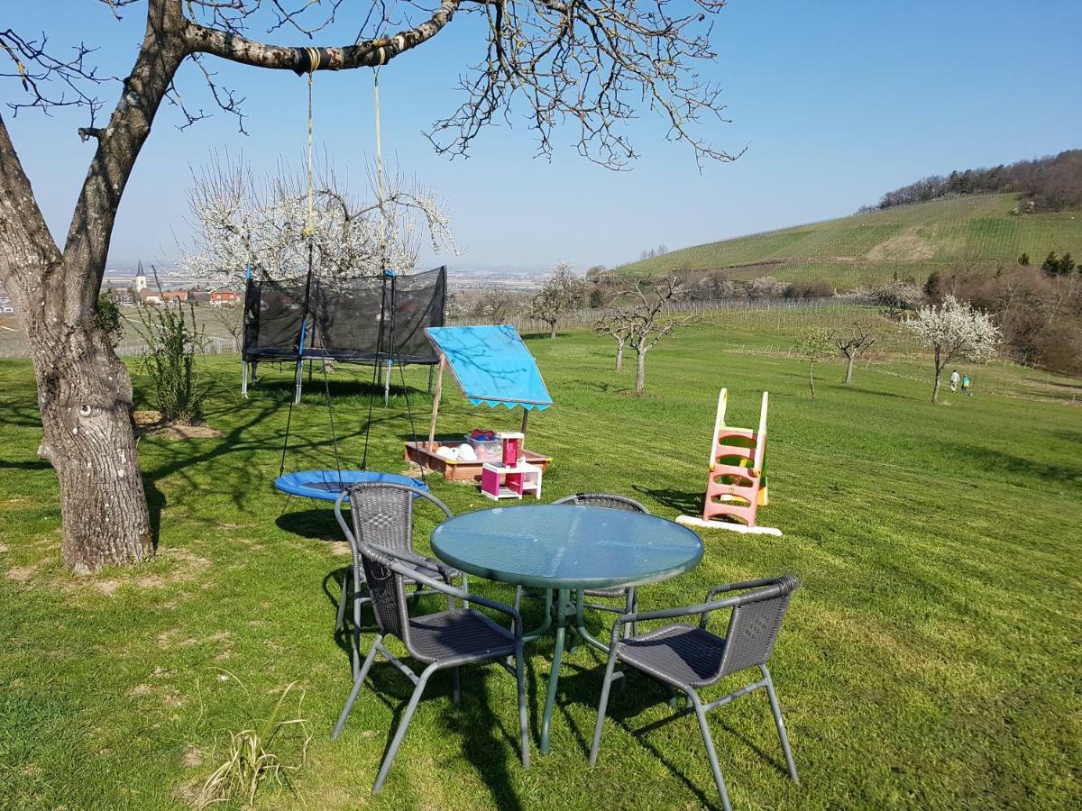 Paradies 1 Döttingen المظهر الخارجي الصورة